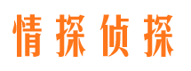 府谷外遇调查取证